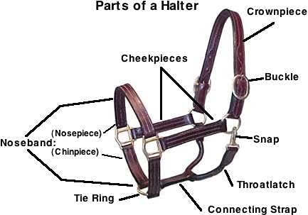 Saddles World Triple Stitched Halter