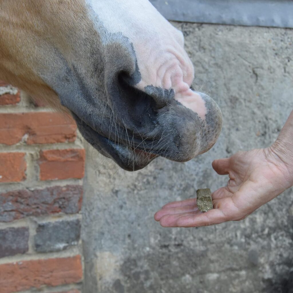 SPILLERS Apple Horse Treats 1kg - Delicious Treat to Reward Horses and Ponies - Fresh Apple Flavoured Horse Treat