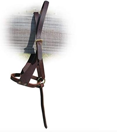 Tack Shack of Ocala Leather Newborn Foal Halter, Figure 8, Brown, with Grab Strap and Two Size Crowns