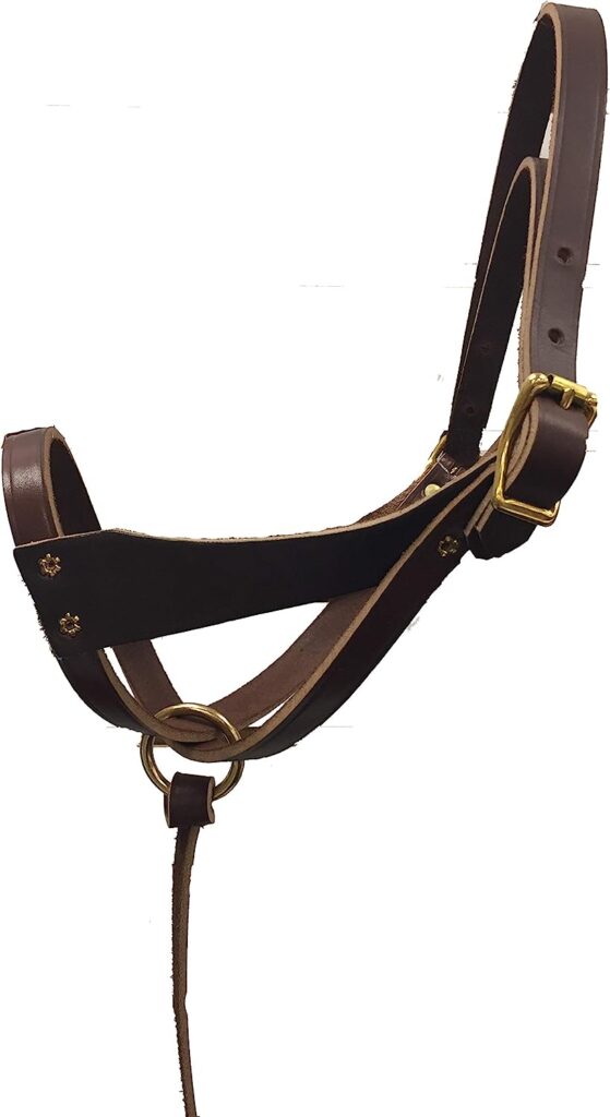 Tack Shack of Ocala Leather Newborn Foal Halter, Figure 8, Brown, with Grab Strap and Two Size Crowns