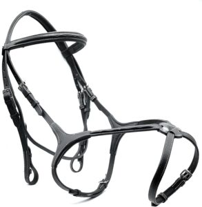 Astile Equestrian Leather Grackle Bridle