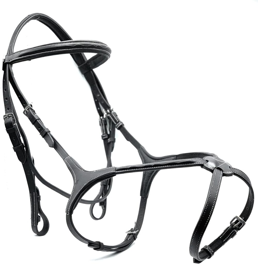 Astile Equestrian Leather Grackle Bridle Padded With Free Reins Hand Stitched Design Black Brown (FULL, BLACK)