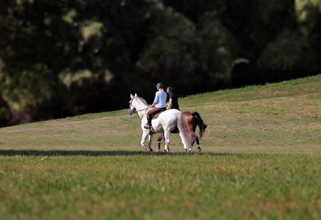 HKM Shetland Pony Saddle Beginner