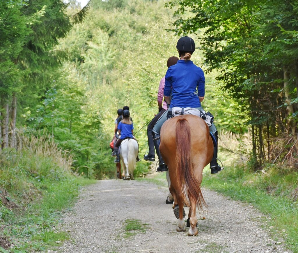 Shires Aviemore Pony Pad