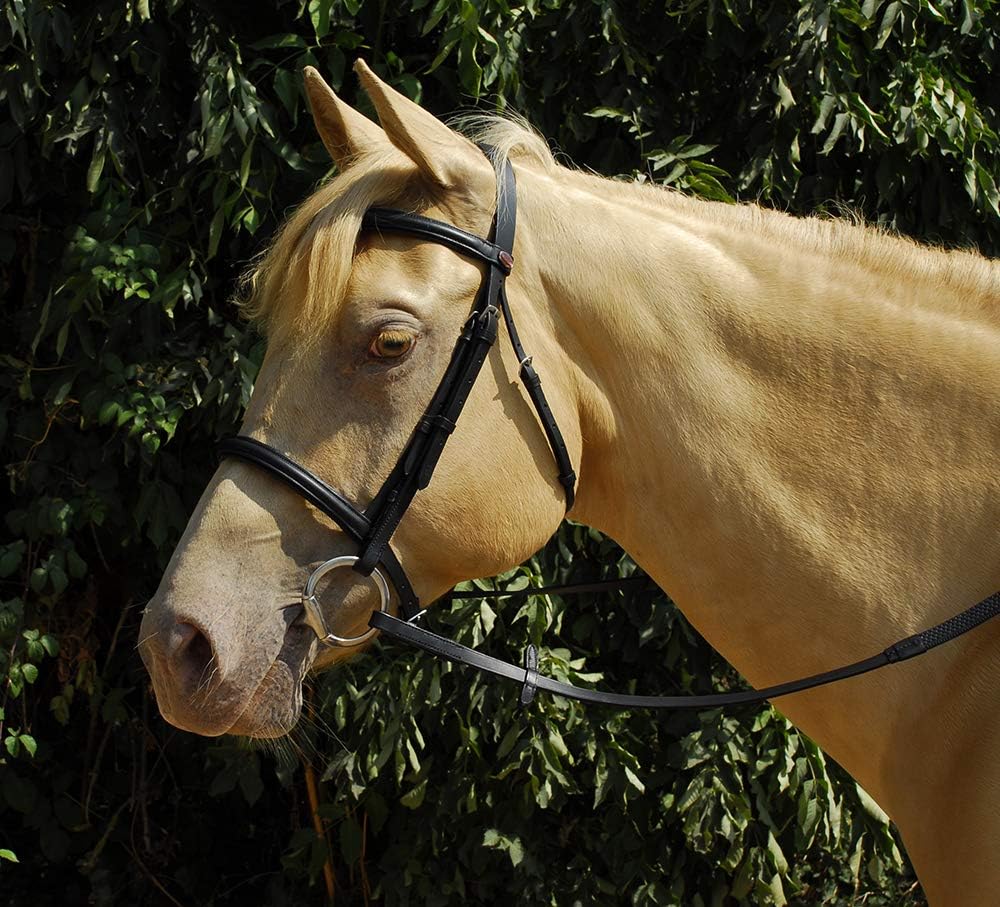 Windsor Equestrian Padded Leather Snaffle Bridle With Rubber Grip Reins (Black, Pony)