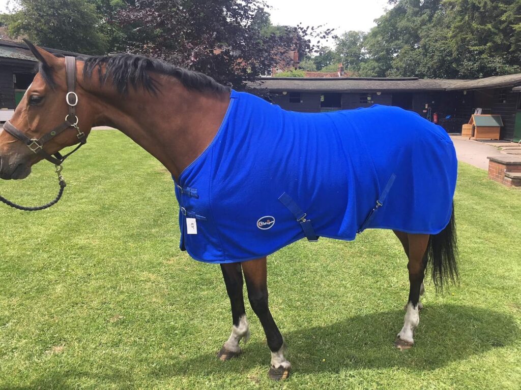 Cwell Equine New HORSE COB PONY SHOW TRAVEL FLEECE RUG stable cooler choice of sizes Royal Blue (66)