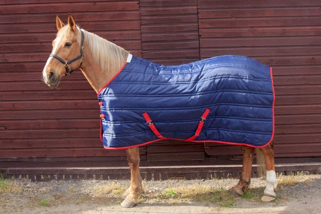 John Whitaker Unisex Thomas Stable Rug, Navy Blue/Red, 6ft 3in UK