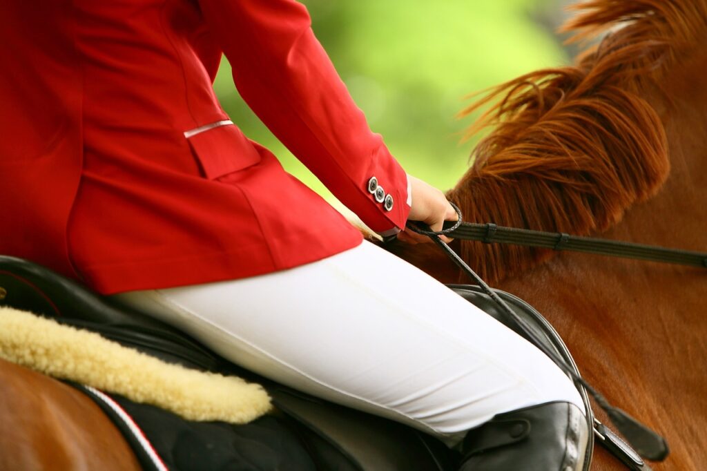 Rhinegold Horsewalker/Lunge Rug