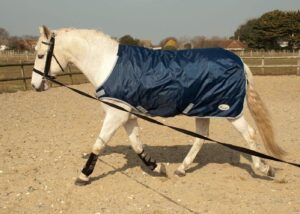 Rhinegold Horsewalker/Lunge Rug