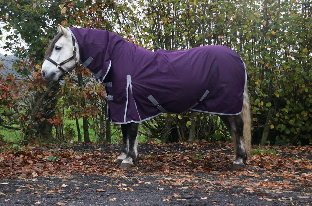 Waterproof Horse Turnout Rug 100g Fill 600d Lightweight Turnout Horse Rugs | 100g Quilted Filling | Combo Full Neck | (66)