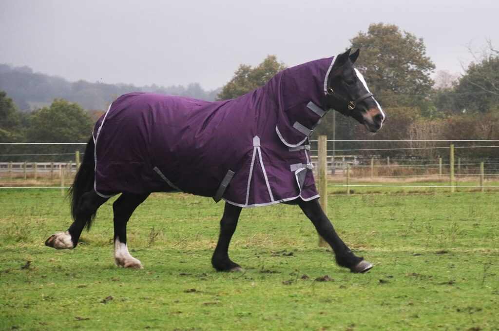 Waterproof Horse Turnout Rug 100g Fill 600d Lightweight Turnout Horse Rugs | 100g Quilted Filling | Combo Full Neck | (66)