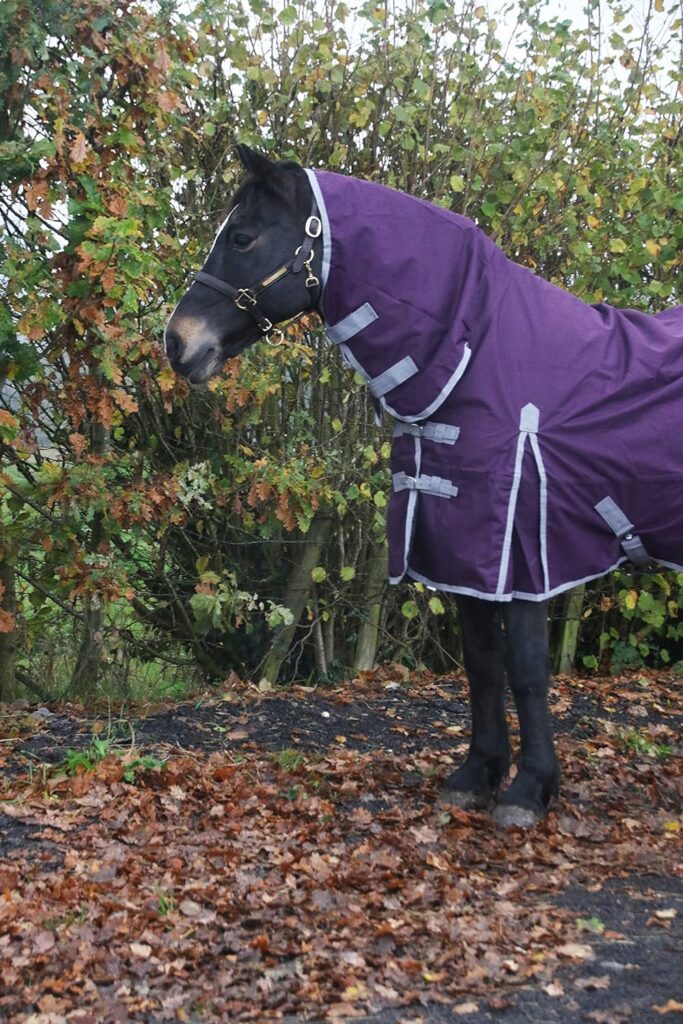 Waterproof Horse Turnout Rug 100g Fill 600d Lightweight Turnout Horse Rugs | 100g Quilted Filling | Combo Full Neck | (66)