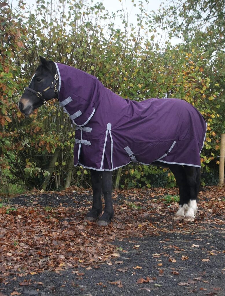 Waterproof Horse Turnout Rug 100g Fill 600d Lightweight Turnout Horse Rugs | 100g Quilted Filling | Combo Full Neck | (66)