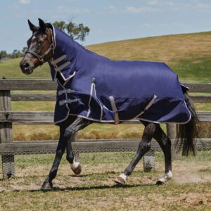 WeatherBeeta ComFiTec Essential Combo Neck Lite Horse Rug