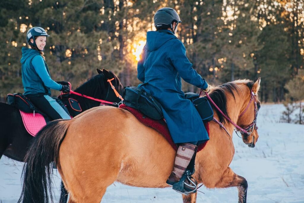 TrailMax English Endurance Horse Saddle Bag; Horse Cantle Bag for English Endurance Saddles w/ 3 Compartments Quick Release Compression Straps; Rear English Endurance Horse Saddle Bag