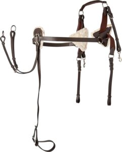 Cwell Equine 5 Point Breastplate