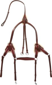 Cwell Equine Leather Breastplate