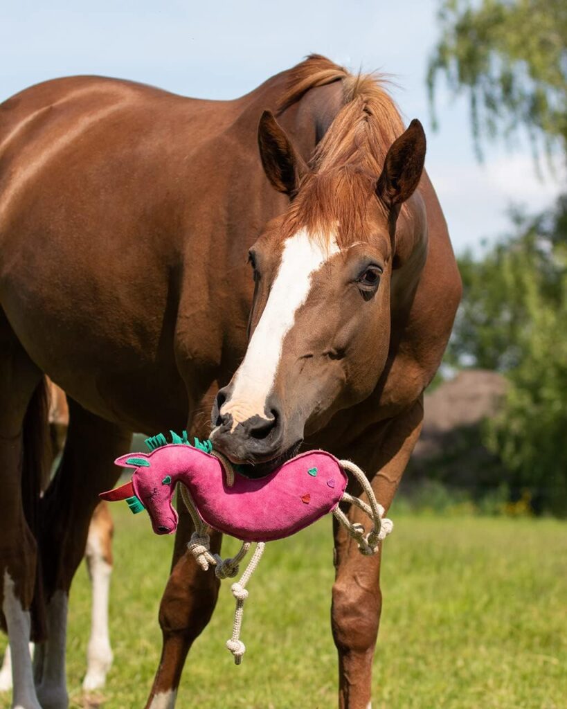 Equipride Horse Relax Toy Made on Leather for Stable Outdoor Tim