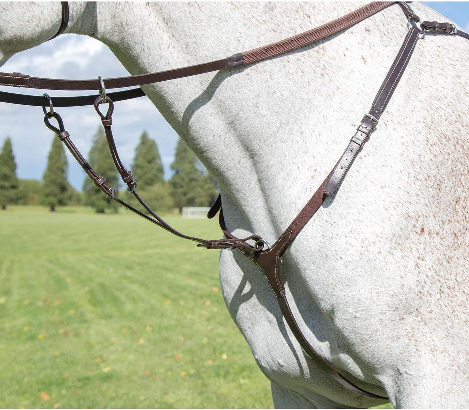 Poitrine Pour Cheval Shires Avignon – Taille Réelle 5 Points – Couleur Havane – Occasion