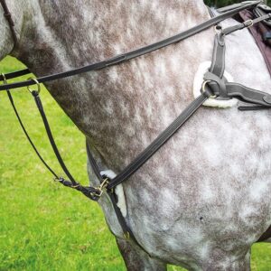 Shires Salisbury Five Point Breastplate