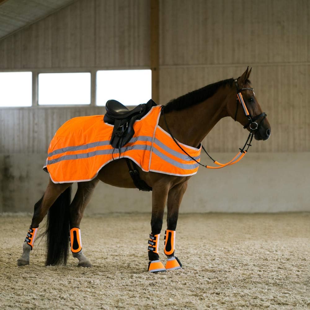 bZeen Reflective Riding Rug - EU155 - UK69