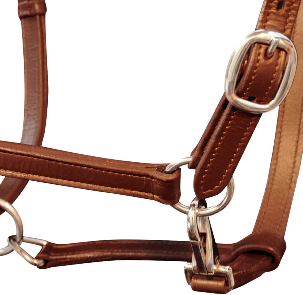 ECLAY Real Leather Headcollar Stable Halter Adjustable Brown Full,Outdoor Recreation,Equestrian,Horse Tack