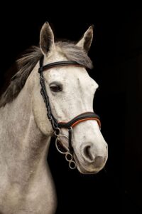 Equipride ANATOMICAL BRIDLE ISTANBUL