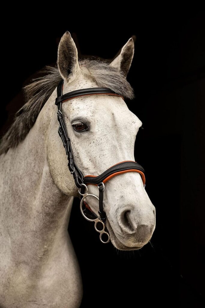 Equipride ANATOMICAL BRIDLE ISTANBUL WITH ANTI-SLIP REINS TAN COLOUR PADDED