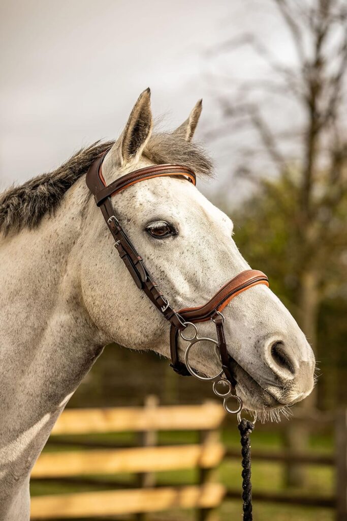 Equipride ANATOMICAL BRIDLE ISTANBUL WITH ANTI-SLIP REINS TAN COLOUR PADDED