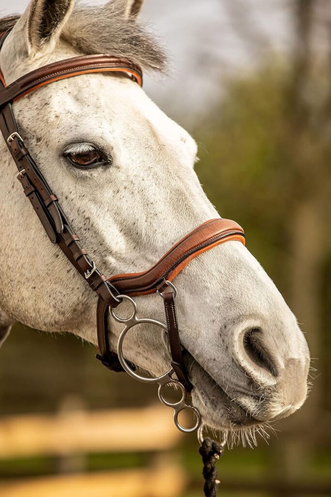 Equipride ANATOMICAL BRIDLE ISTANBUL WITH ANTI-SLIP REINS TAN COLOUR PADDED