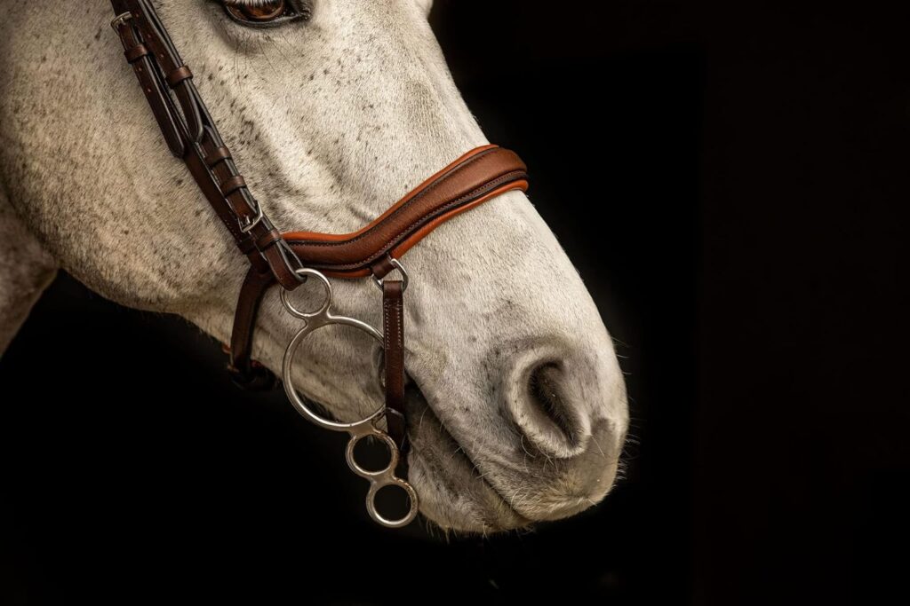 Equipride ANATOMICAL BRIDLE ISTANBUL WITH ANTI-SLIP REINS TAN COLOUR PADDED