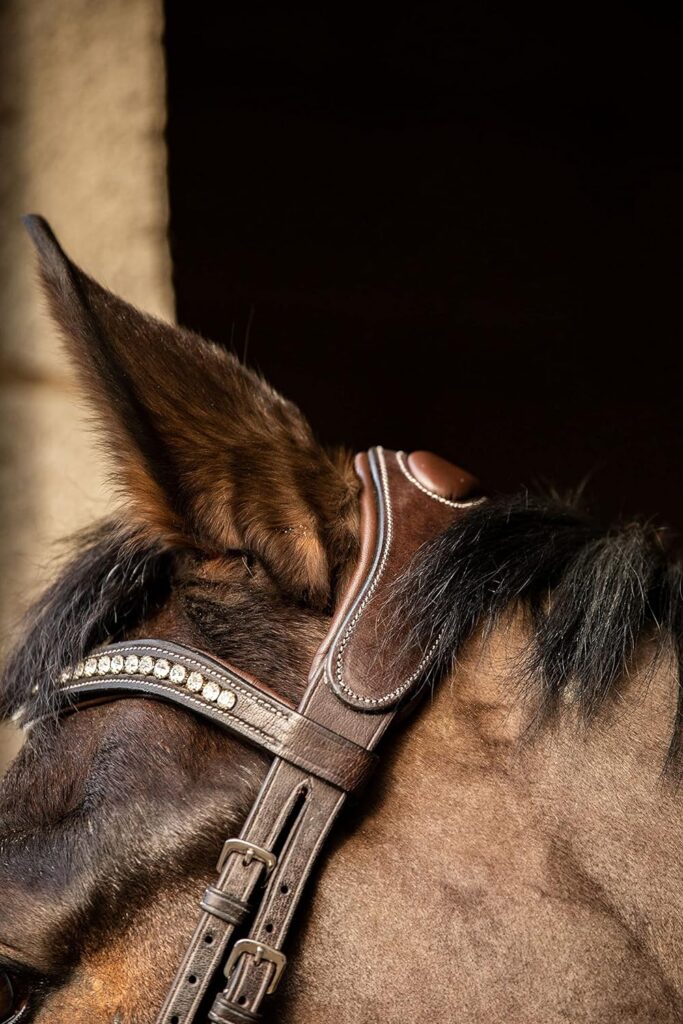 Equipride ANATOMICAL BRIDLE SANTA FE WITH ANTI SLIP RUBBER GRIP REINS (Cob, Brown)