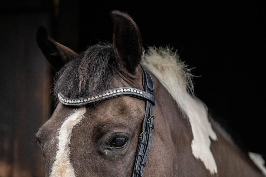 Equipride ANATOMICAL BRIDLE SANTA FE WITH ANTI SLIP RUBBER GRIP REINS (Cob, Brown)