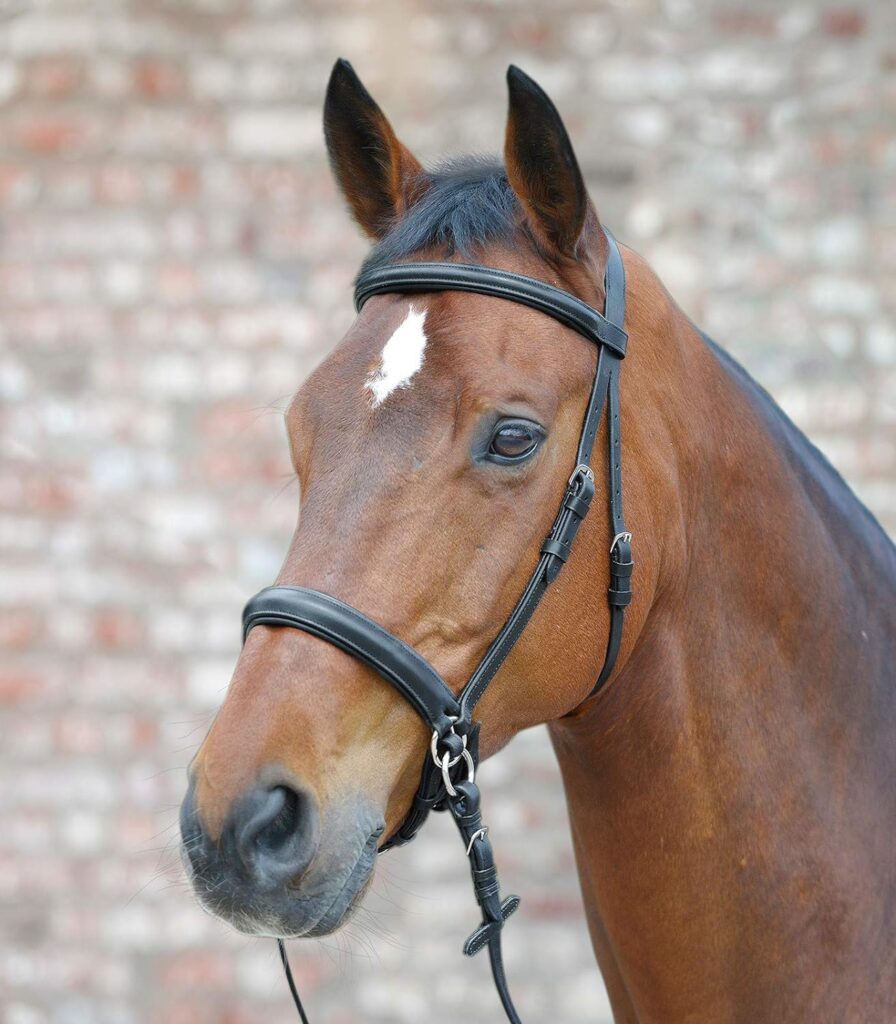 Equipride LEATHER BITLESS BRIDLE SCRAWBIG STYLE WITH SOFT REINS FULL - COB - PONY (Full)