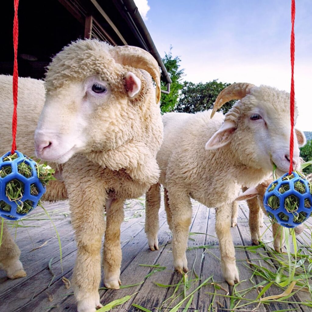 Horse Treat Ball Hay Feeder Hanging Feeding Toy for Horse Horse Goat Sheep Relieve Stress Blue 2PCS Feeding Supplies