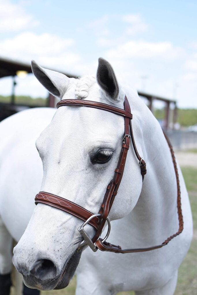 Huntley Equestrian Fancy Stitched Sedgwick Leather English Bridle and Reins