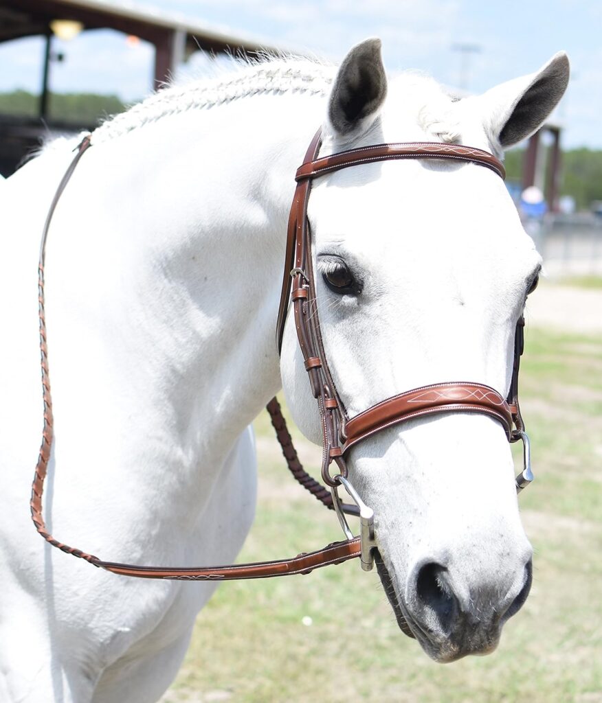 Huntley Equestrian Fancy Stitched Sedgwick Leather English Bridle and Reins