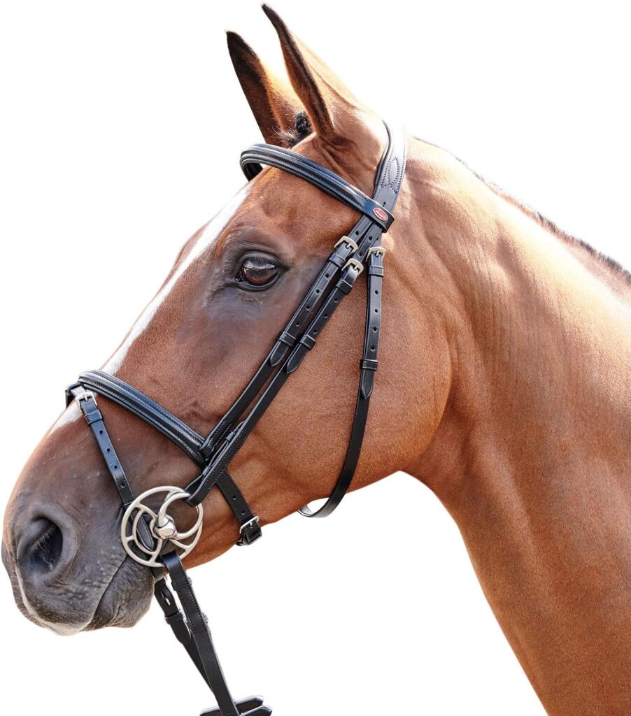 John Whitaker Barton Raised Flash Snaffle Bridle