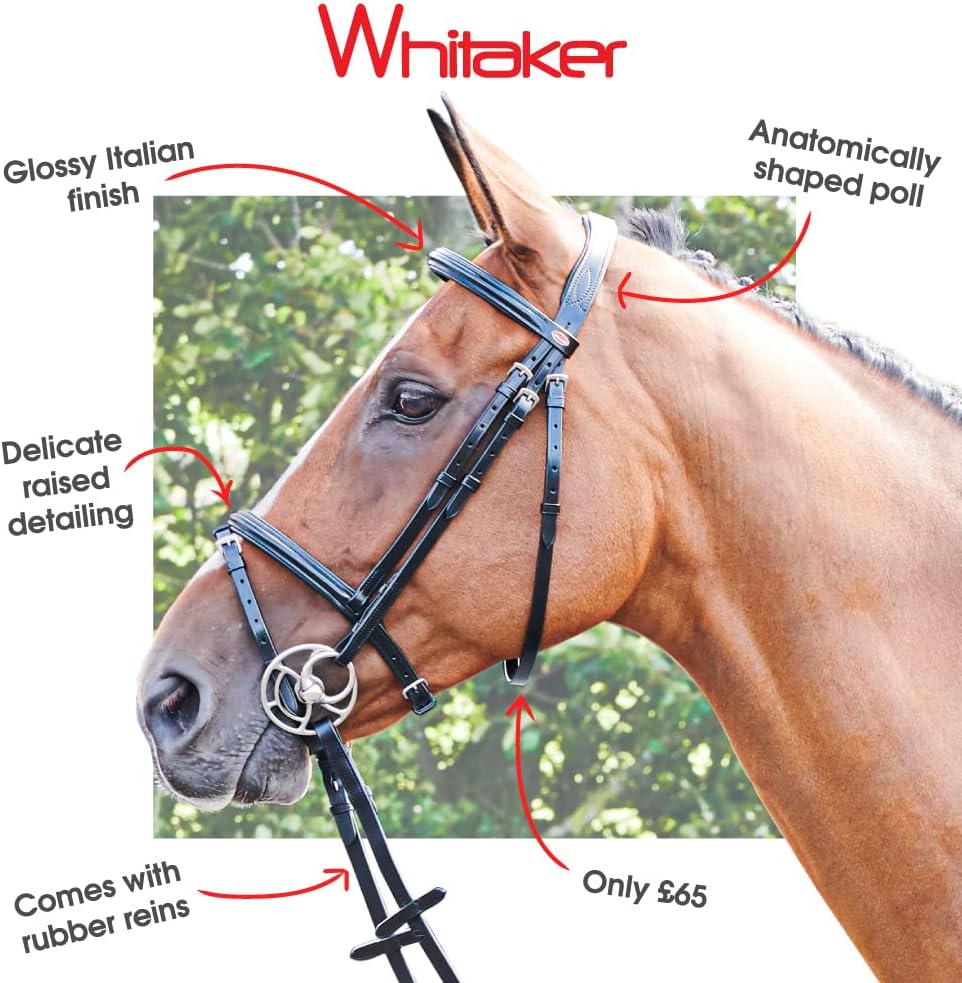 John Whitaker Barton Raised Flash Snaffle Bridle