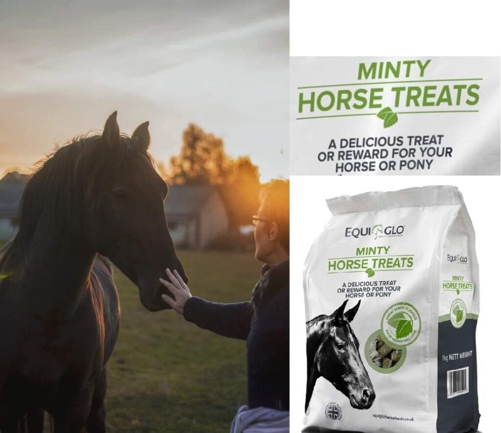 Mr Johnsons Best Horse Treats, Horse Snack, Horse Food, Delicious Minty Treat/Reward for your Horse/Ponie 1KG Pack