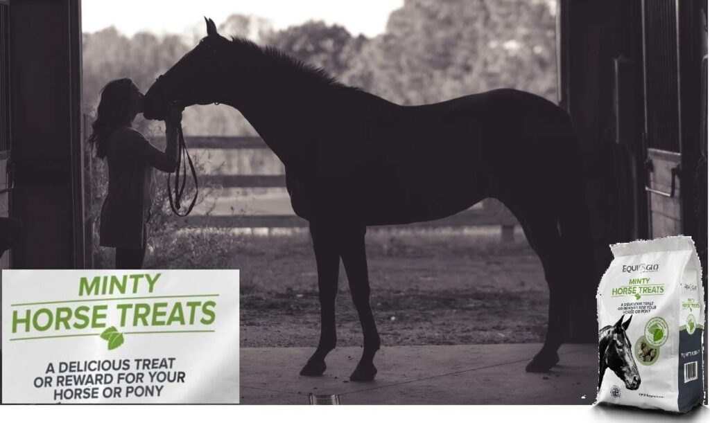 Mr Johnsons Best Horse Treats, Horse Snack, Horse Food, Delicious Minty Treat/Reward for your Horse/Ponie 1KG Pack