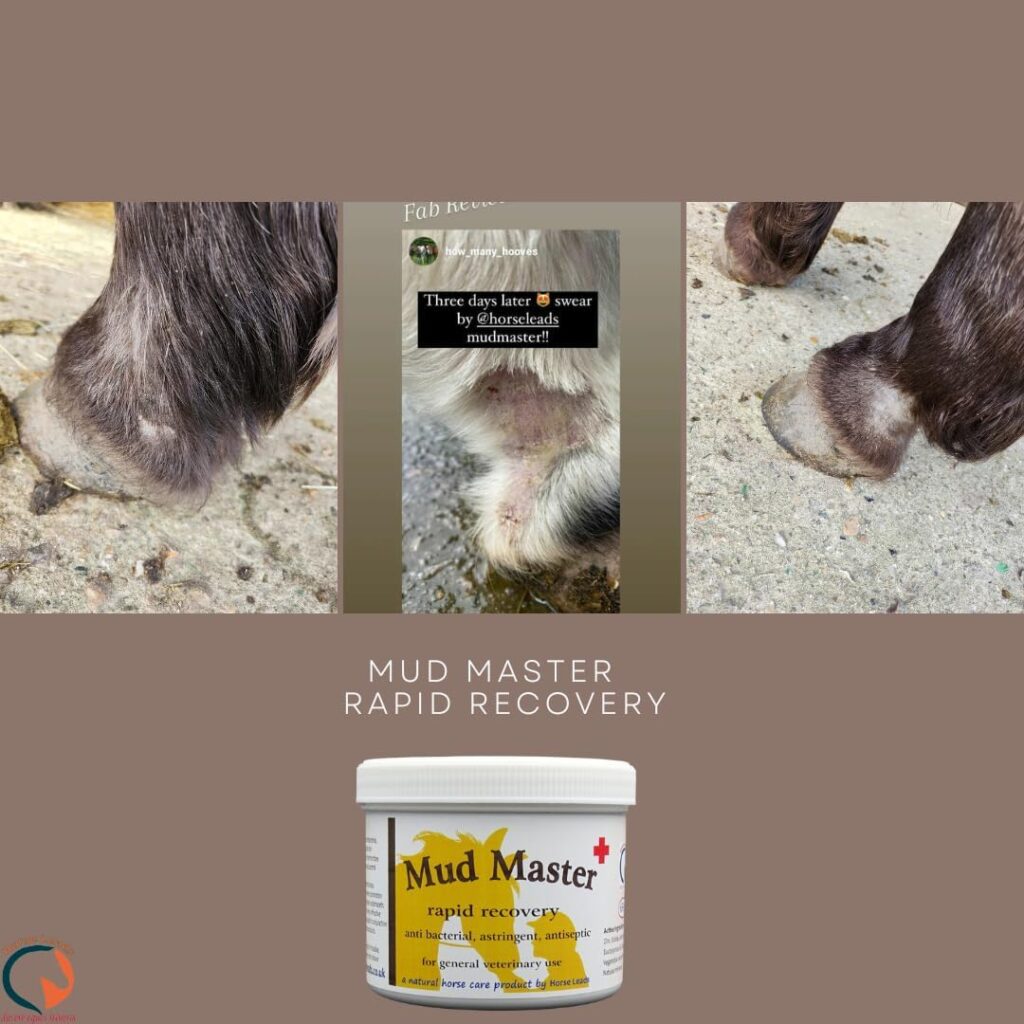 Mud Master 650 g by Horse Leads, beat mud fever