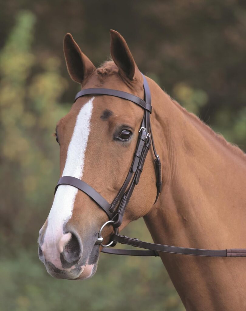 Shires Aviemore Plain Bridle With Rubber Grip Reins - Black