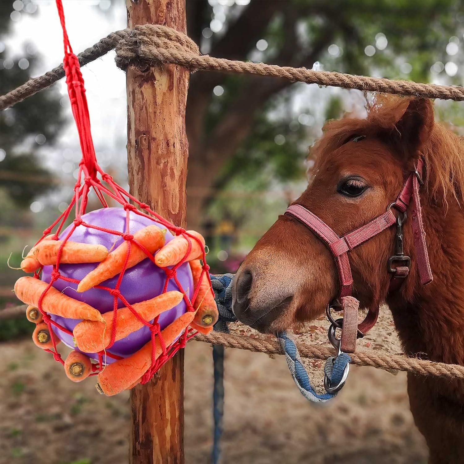 Tirifer Horse Treat Ball Carrot Feeder Toy Review Horse Excel