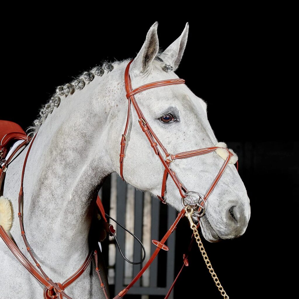 Whitaker Valenica Leather Mexican Bridle including 9 loop rubber reins