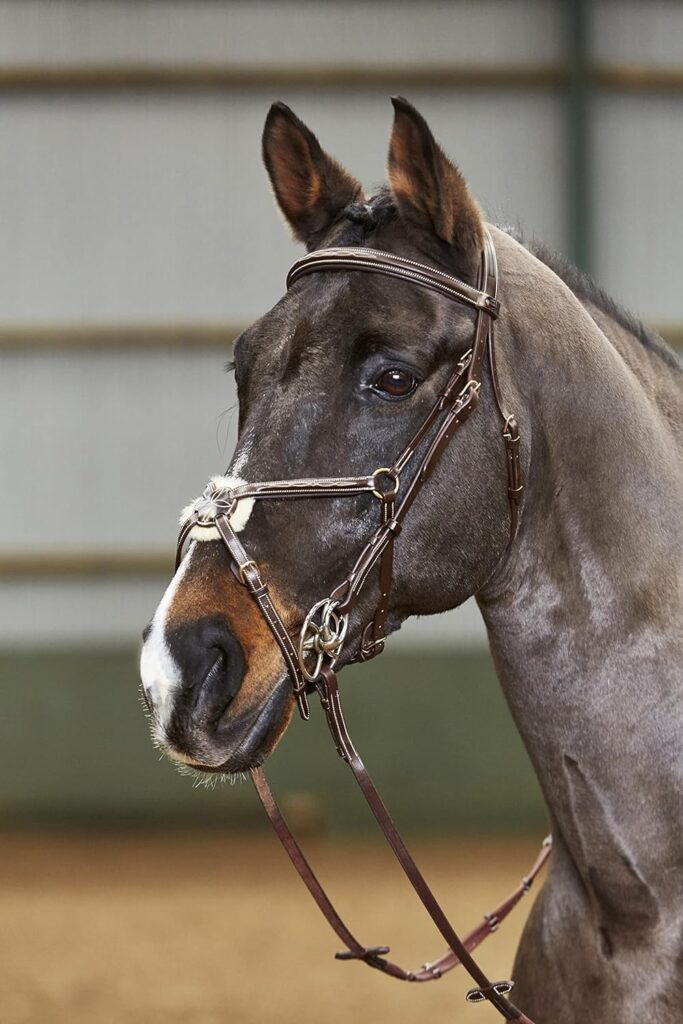 Whitaker Valenica Leather Mexican Bridle including 9 loop rubber reins