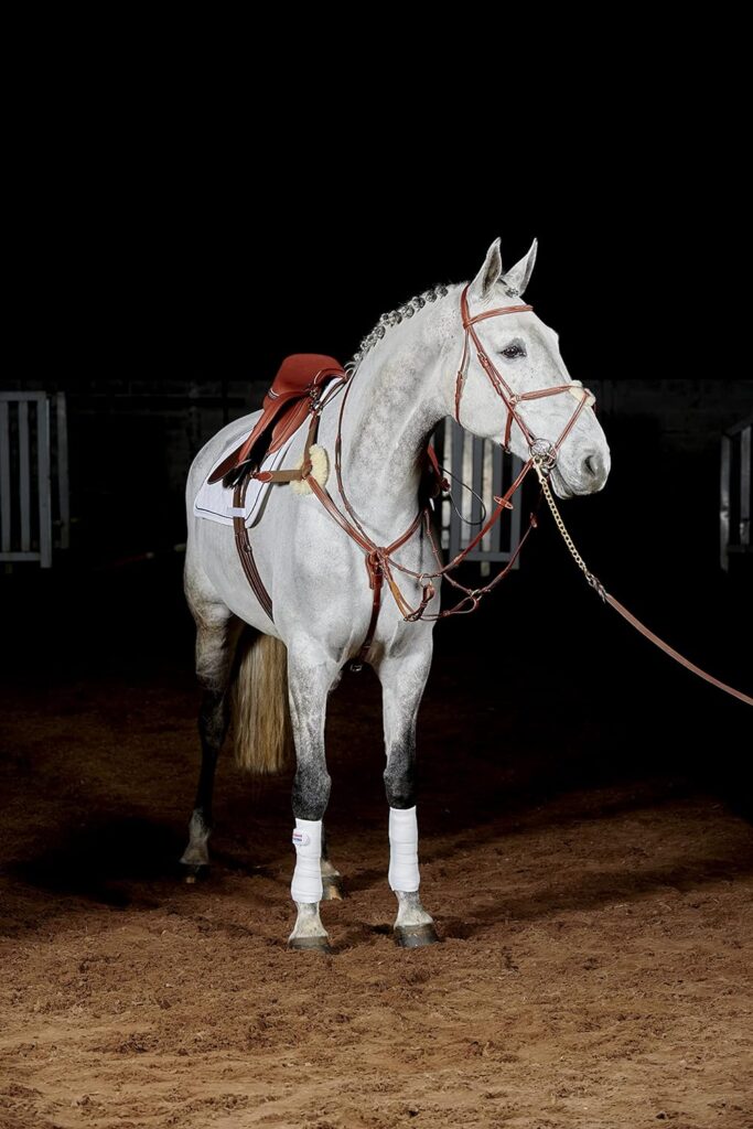 Whitaker Valenica Leather Mexican Bridle including 9 loop rubber reins