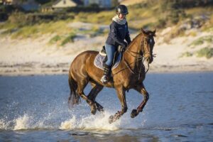 Charles Owen Kylo WIDE PEAK Riding Hat